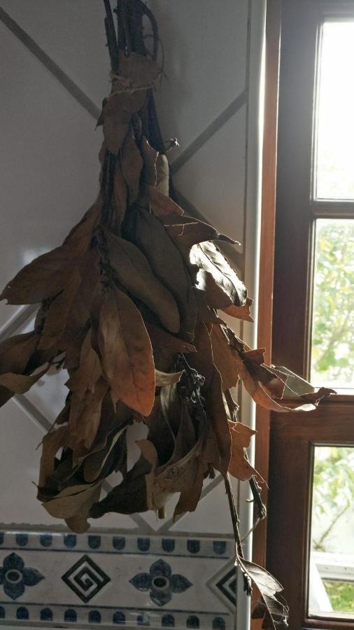 Casa Idilica Διαμέρισμα Horta  Εξωτερικό φωτογραφία